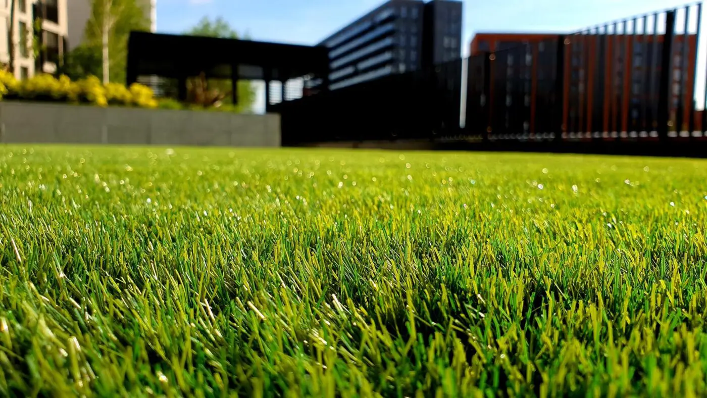 A close-up photograph of a lush green lawn with dew drops glistening in the sunlight, showcasing the impressive work of artificial grass installers in Gilbert AZ. In the background, there are some modern buildings and a black fence, slightly blurred, under a clear blue sky.