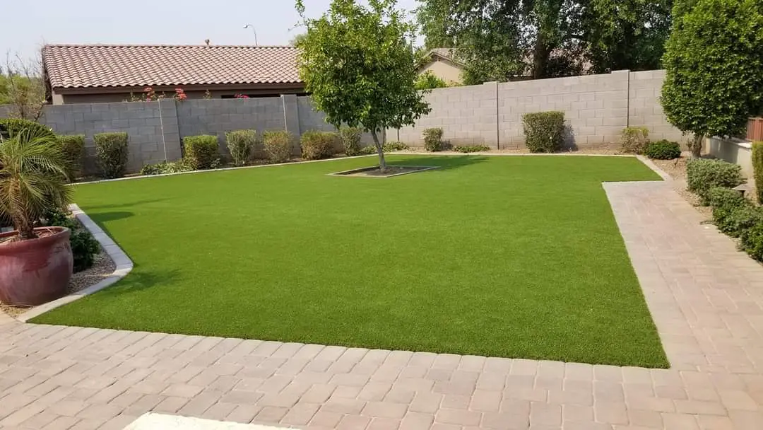 A well-maintained backyard in Tempe, AZ features a lush green lawn surrounded by a walkway paved with interlocking bricks. A small tree stands in the center of the lawn, with potted plants and trimmed bushes along the perimeter, and a tall wall in the background. For an enduring look, consider artificial grass installation.