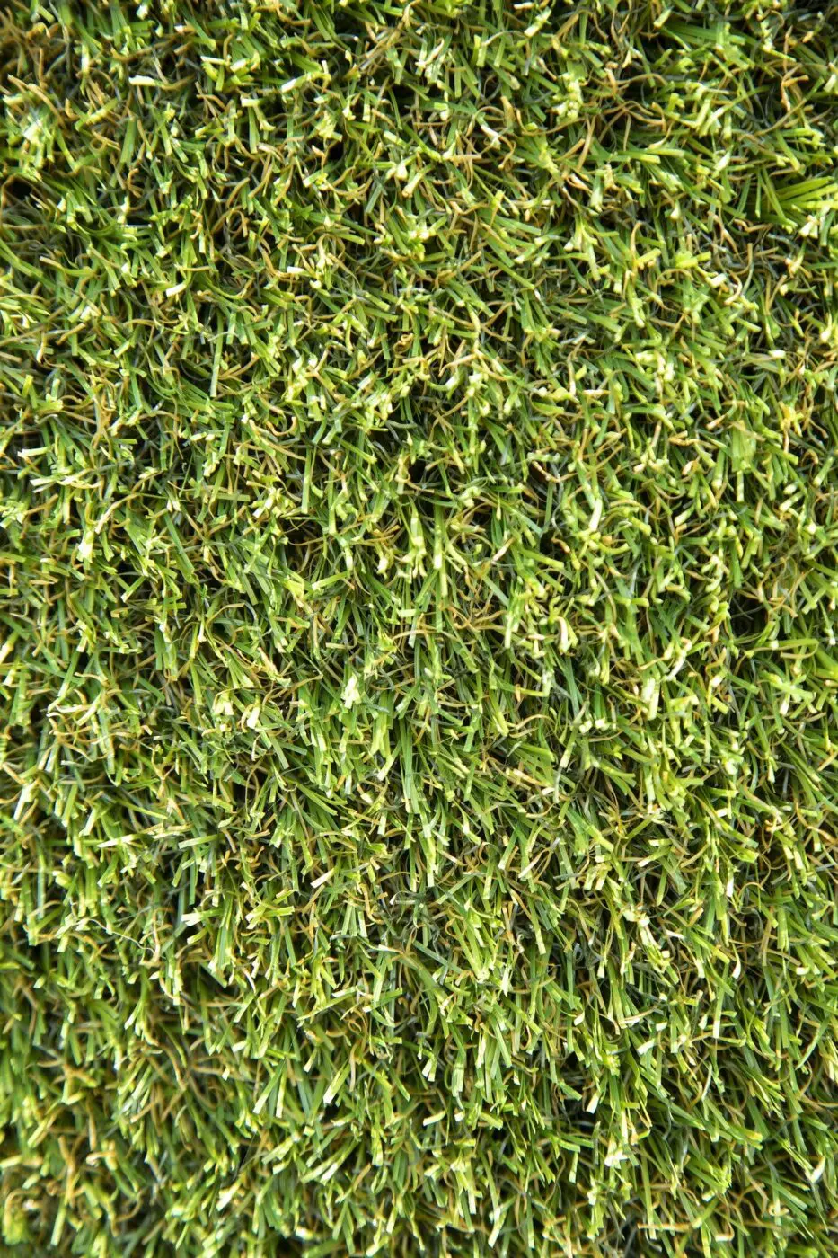 Close-up image of dense, green artificial grass with finely cut blades, creating a lush and uniform appearance. Ideal for pet turf applications, the texture of this synthetic grass resembles a well-maintained natural lawn and offers the convenience of waterless lawns.