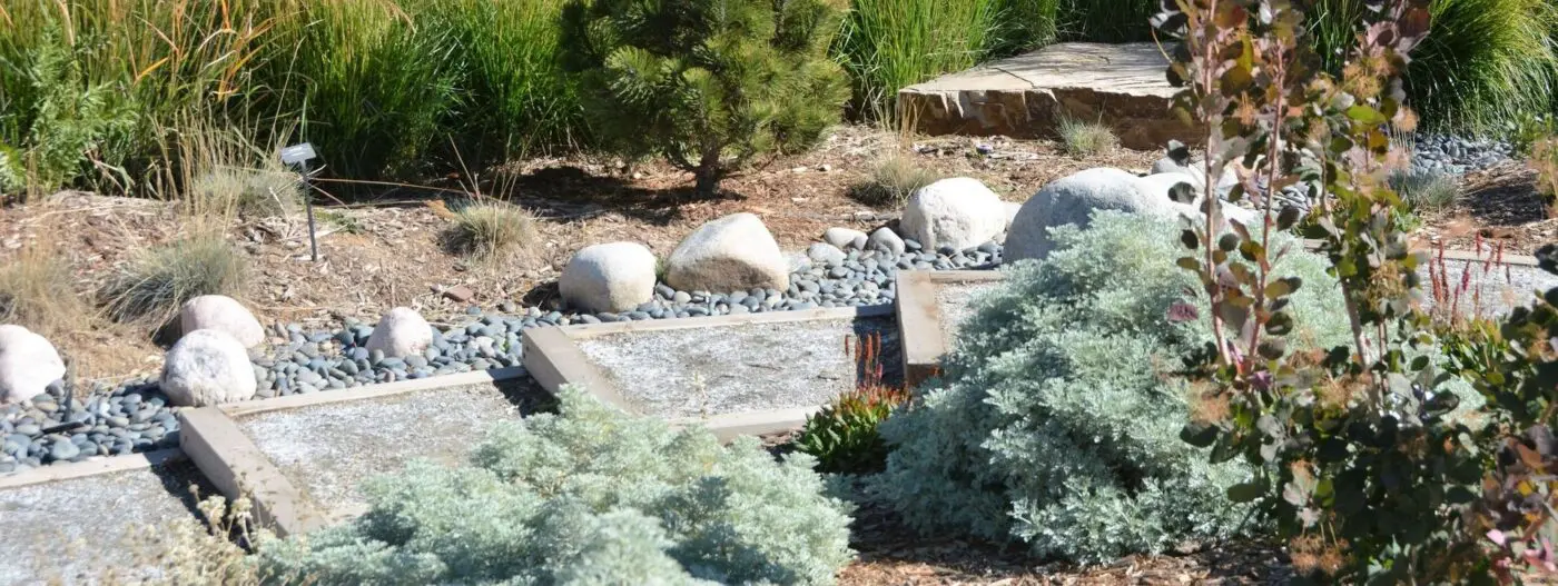 A serene garden scene created by xeriscape landscapers features a stone pathway meandering through greenery and rocks. Small shrubs and plants, including silvery sagebrush, line the path. Larger rocks are placed decoratively amongst the plants, with tall grasses and trees in the background.