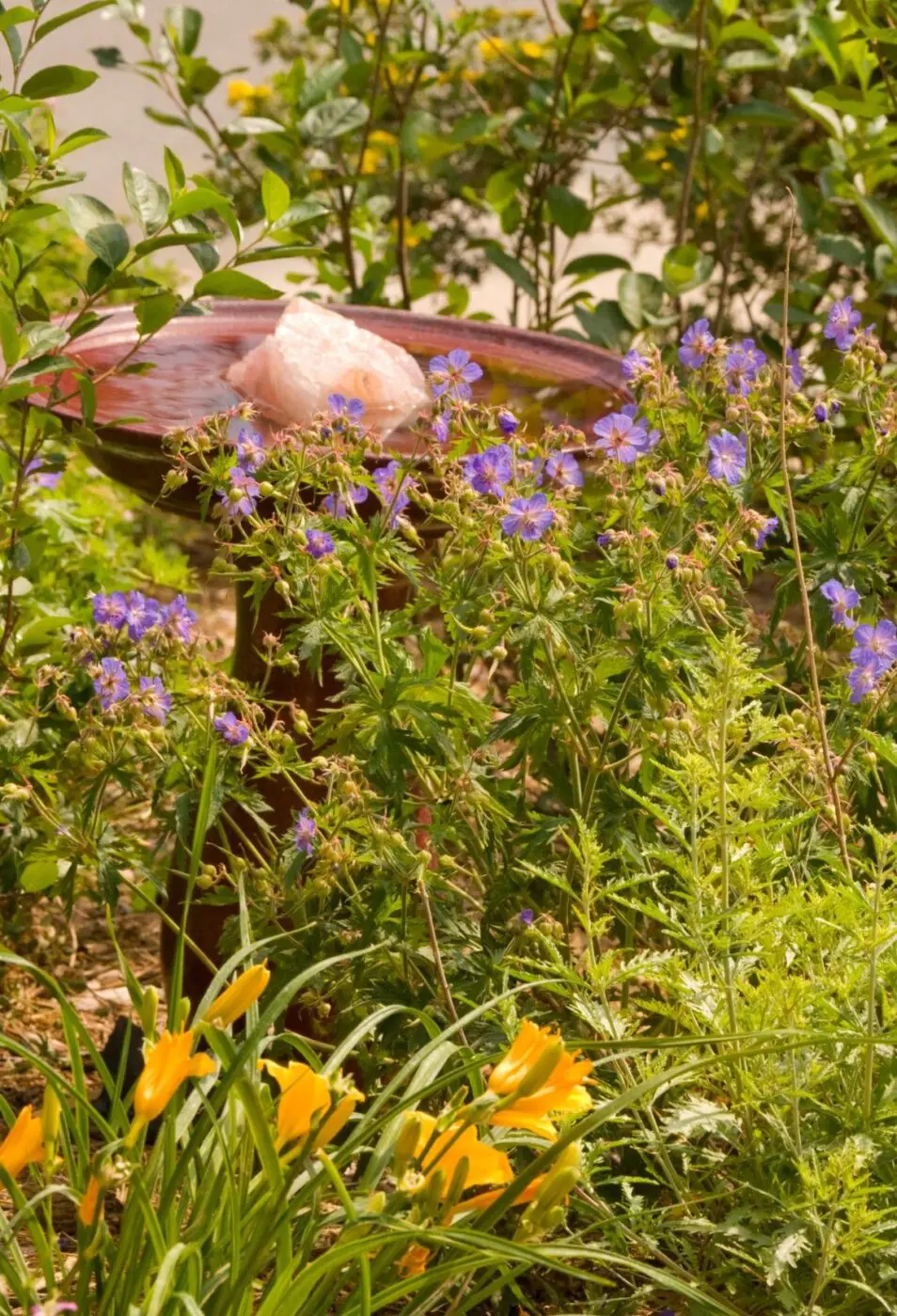 A pink bird stands in a birdbath surrounded by lush green leaves, purple flowers, and yellow flowers. The garden setting is vibrant, showcasing the dense foliage and colorful blooms—an oasis crafted by xeriscape landscapers.